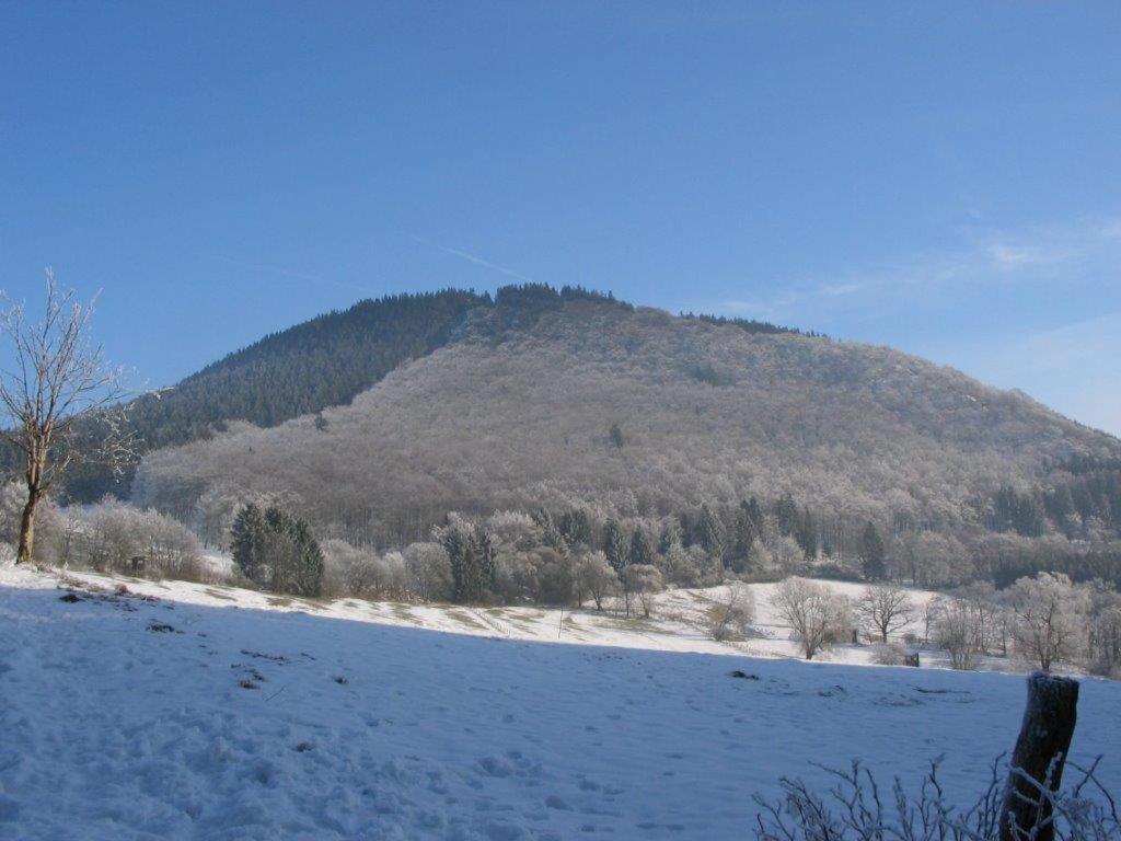 Landhotel Grimmeblick วินเทอร์แบร์ก ภายนอก รูปภาพ